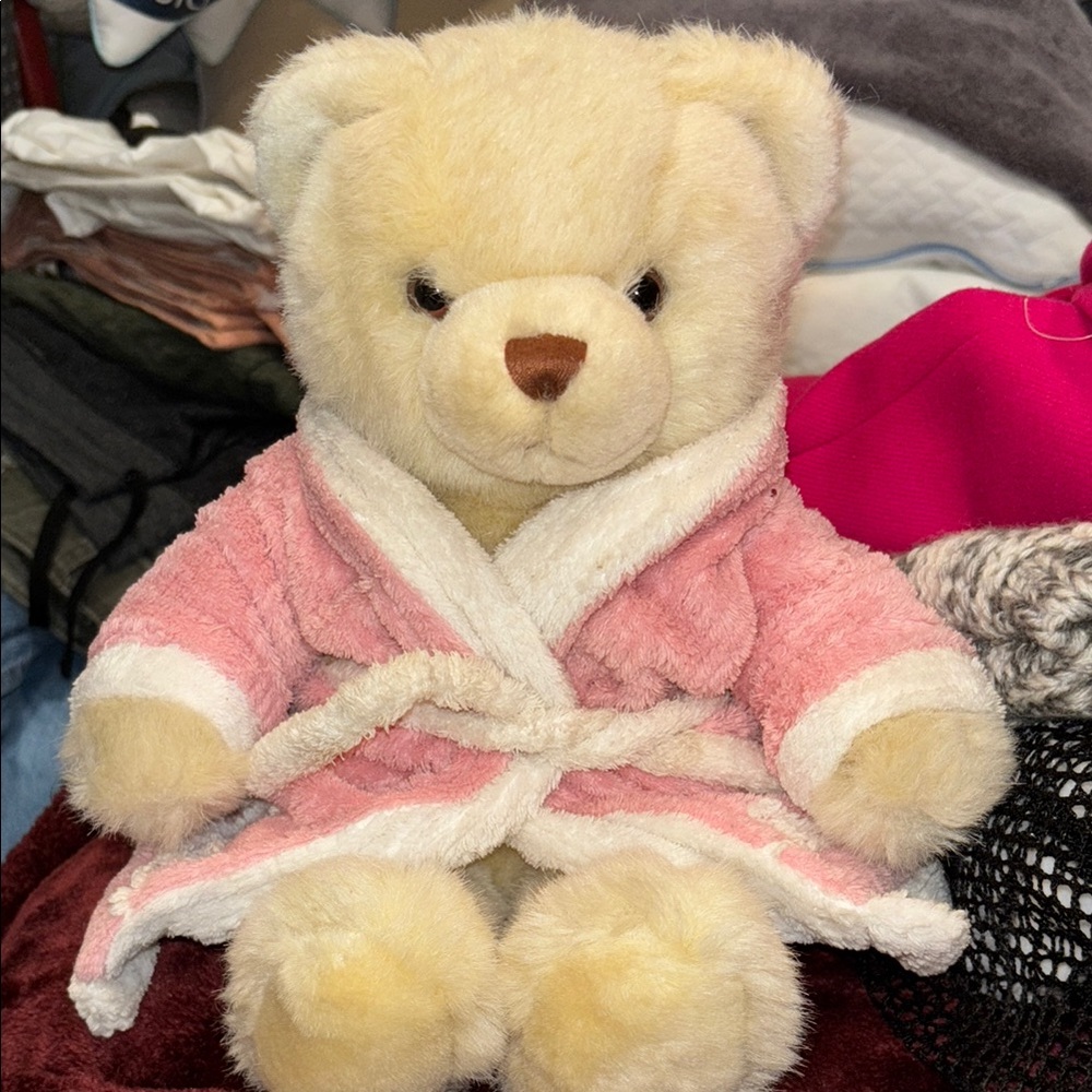 Teddy Bear in Robe